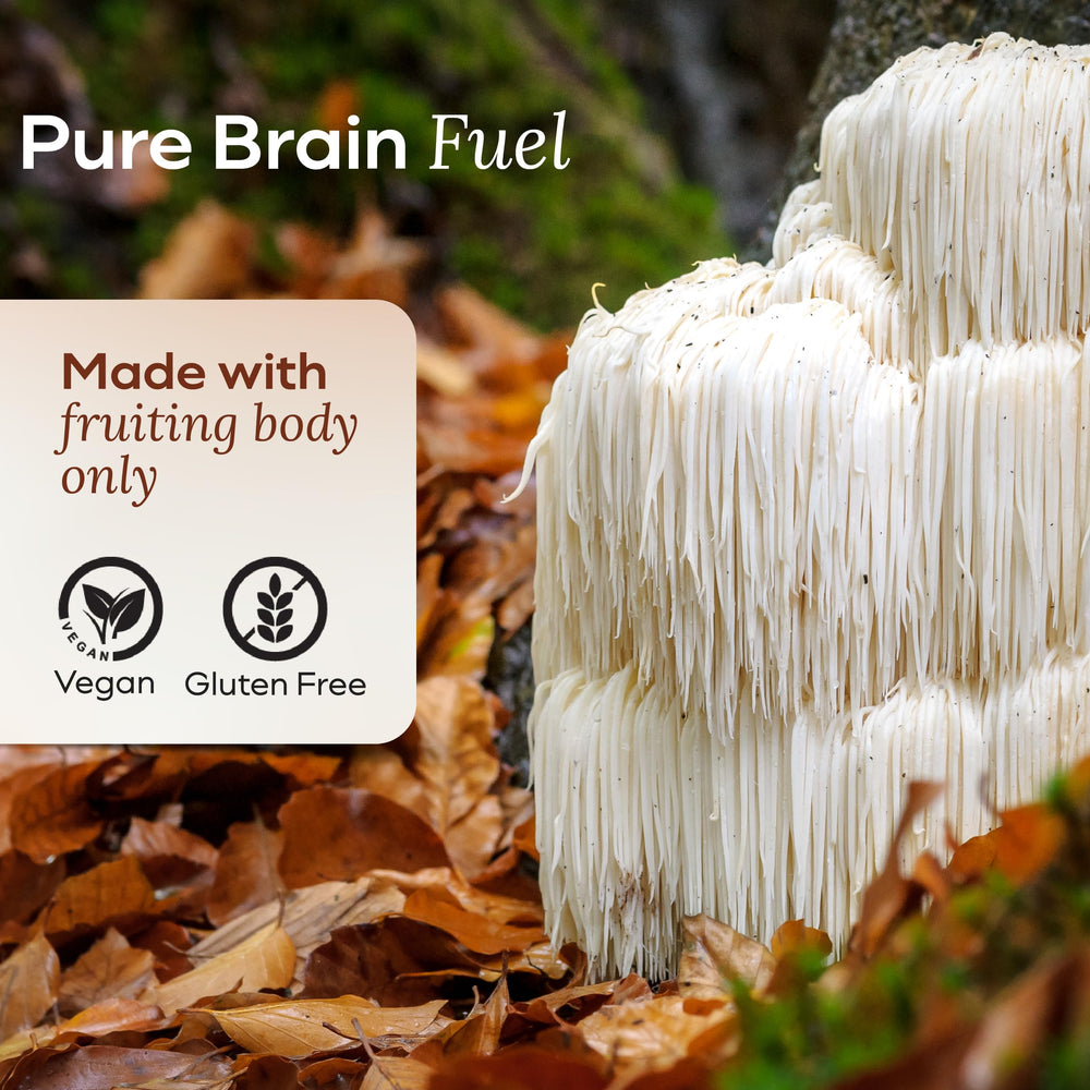 MYCL Lions Mane Gummies texture and chewability for daily ritual