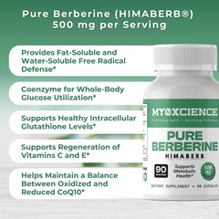 MYOXCIENCE Pure Berberine Himaberb production facility indicating cGMP-compliant quality