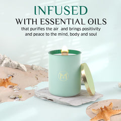 Myrrh Bliss Ocean Breeze candle dual-tone glass jar design.