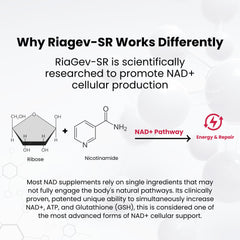 NAD PLUS Revive + Immune vegan label highlighting plant-based, clean ingredients.
