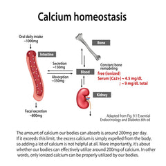 Nanowell Dr. G ingredients list showing calcium and magnesium blends for bone-support potential.