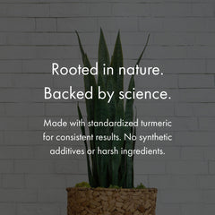 NAOMI USA facility image communicates quality and trusted manufacturing standards