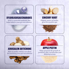 Easy daily use Nation Health MD prebiotics capsules ready to take