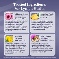 Nation Health MD Lymph MD bottle showing quality and purity.