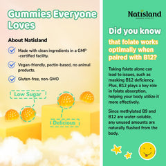 NATISLAND L-Methylfolate Gummies close-up with 5-MTHF and B12 synergy for wellness.