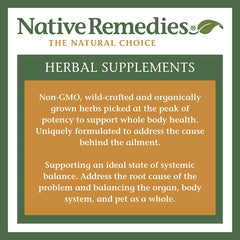 Native Remedies Inflam Dr in a daily-use scene as part of a routine