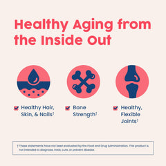 NativePath Collagen Peptides Wild Berry ingredients with berries to highlight natural flavor and daily use