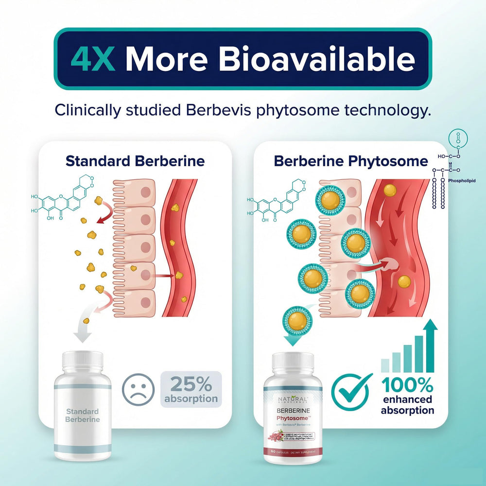 Closeup of Natural BioScience Berberine Phytosome capsules highlighting quality and texture