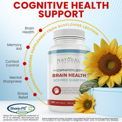 Natural BioScience PS100 softgel capsules arranged for daily learning and concentration.