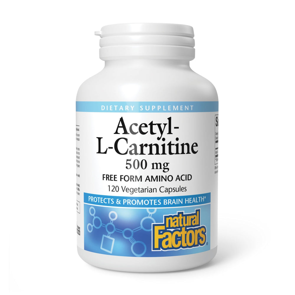 Natural Factors Acetyl L-Carnitine 500 mg bottle highlighting memory and focus support