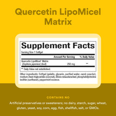 Natural Factors Quercetin capillary health illustration showing vessel support.