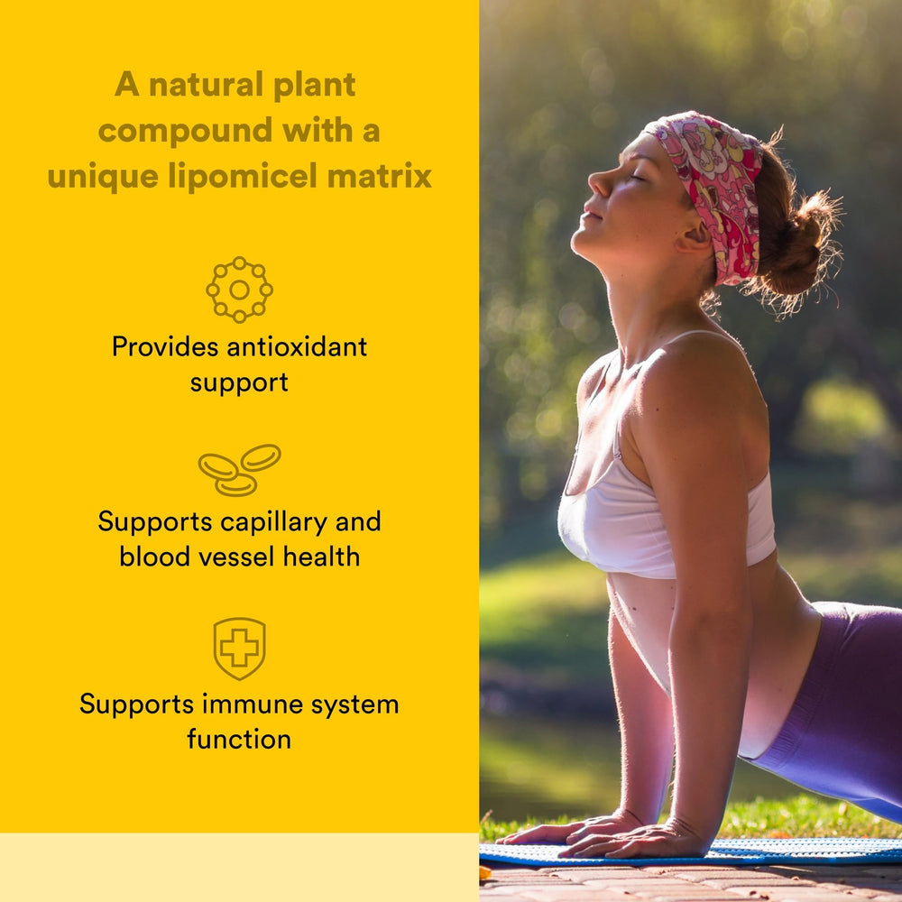 Natural Factors Quercetin lipomicel matrix absorption graphic highlighting improved bioavailability.