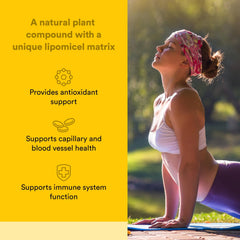 Natural Factors Quercetin lipomicel matrix absorption graphic highlighting improved bioavailability.