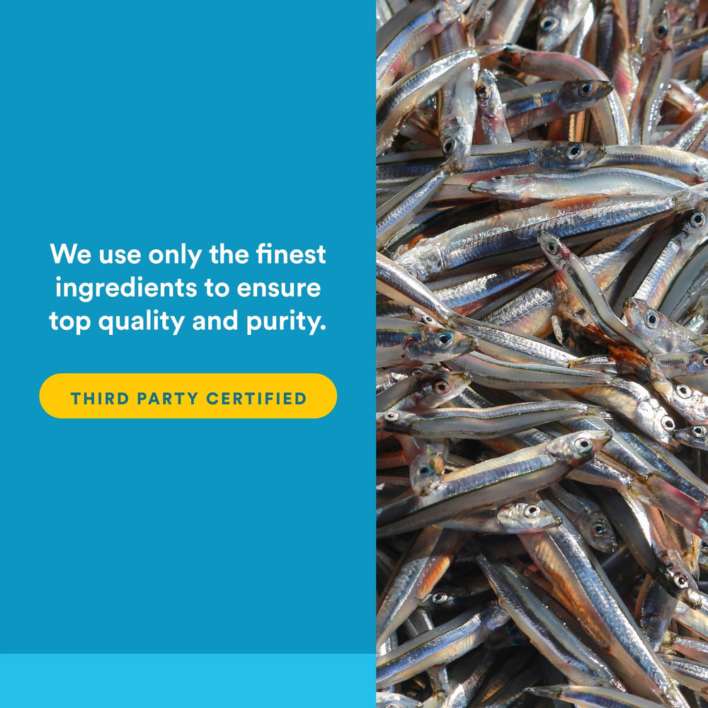 Pharmaceutical-grade RxOmega-3 packaging highlights third-party testing for safety and purity.