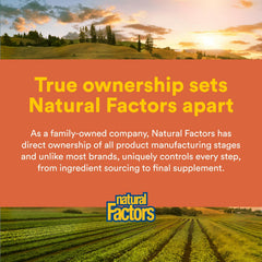 Natural Factors Total Body Multi Collagen integrated into a daily wellness routine.