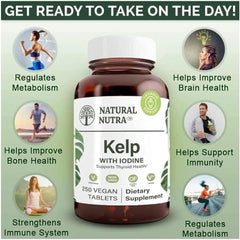 Natural Nutra Kelp Iodine ingredients panel confirms vegan, non-GMO formula
