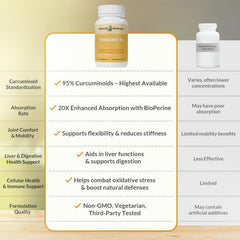 Natural Wellness Turmeric 95 bottle side view highlights vegan, non-GMO formula