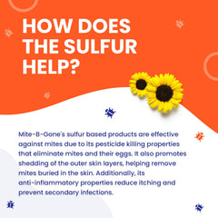 Naturasil Mite-B-Gone sulfur soap pack for cleansing and care