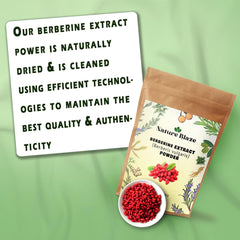 Nature Blaze Ayurvedic berberine powder jar ready to mix into beverages