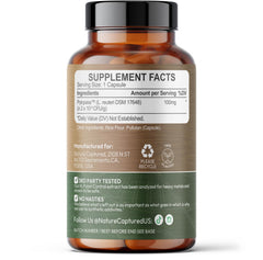 Nature Captured H Pylori Control label close-up; shows strain DSM 17648 and vegan formula.