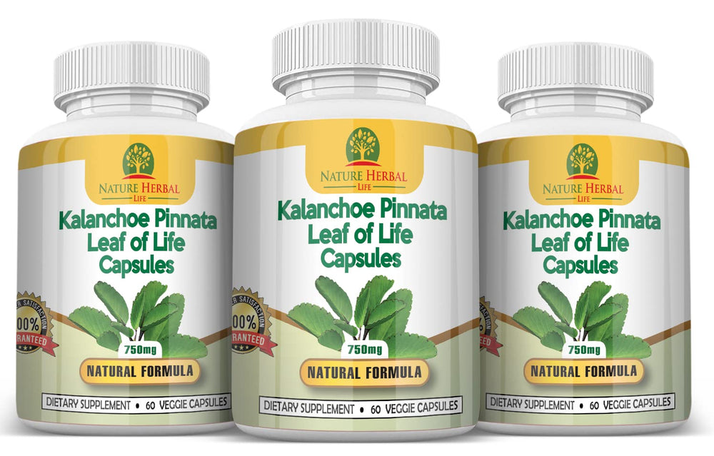 Nature Herbal Life Cathedral Bells capsules ready for daily wellness