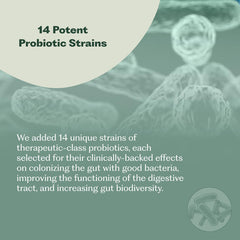 Nature M.D. Synbiotic 365 daily-use concept illustrating gut balance support.
