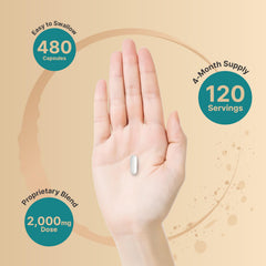 NatureBell 2-pack serving size overview showing four capsules per day.
