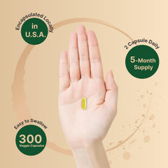 NatureBell Berberine 500mg capsules in hand for easy daily dosing