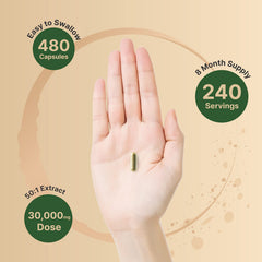 NatureBell Olive Leaf Extract non-GMO seal close-up signals clean ingredients for informed choice.