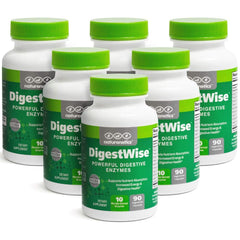 Naturenetics DigestWise bottle showcasing the vegan enzyme blend for digestion support.