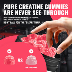 Natures Aid Creatine Gummy ingredients list emphasizes creatine monohydrate quality.