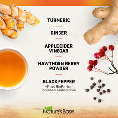 Nature's Base apple cider vinegar powder image suggesting digestion-friendly routine