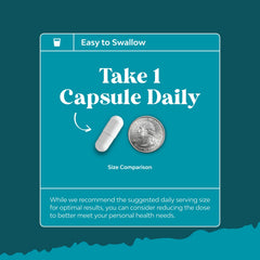 Natures Craft 500mg niacinamide capsules, streamlined daily support.