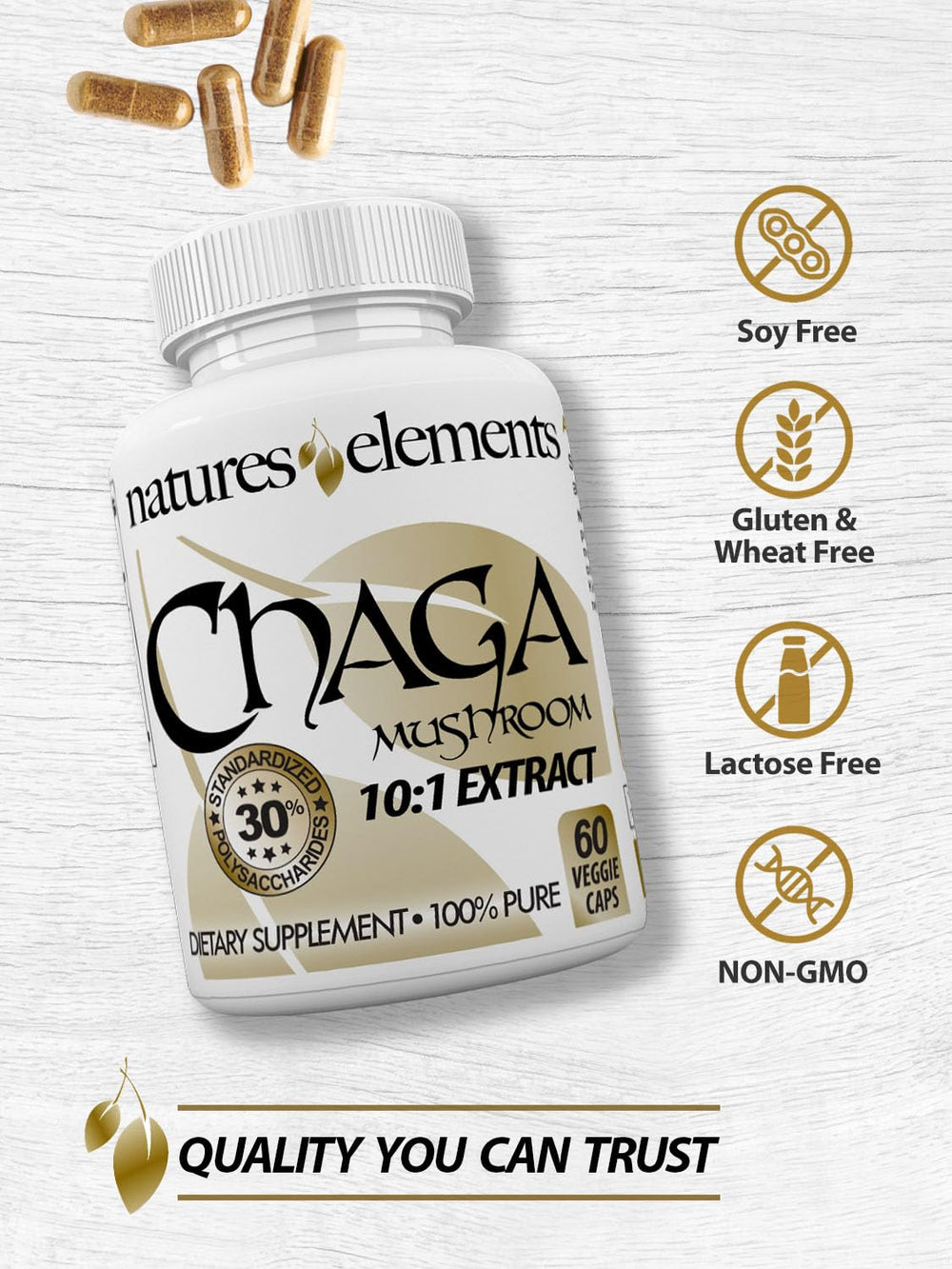Infographic highlight 10:1 extract and 30% polysaccharides in Natures Elements Chaga.