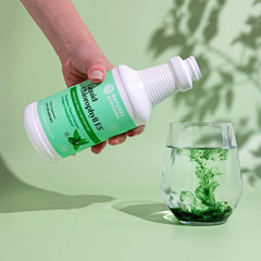 Nature's Sunshine label highlights proprietary chlorophyll complex benefits.