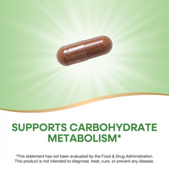 Nature's Way Cinnamon Premium Extract packaging may vary in design.