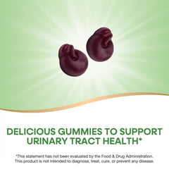 Nature's Way CranRx gummies packaging on display for daily urinary health routine