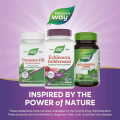 Nature's Way Echinacea Goldenseal vegetarian and non-GMO formula for everyday immune health.