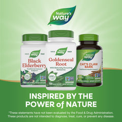 Daily use of Nature's Way Goldenseal Root for digestive balance.