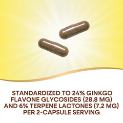 Nature's Way Ginkgo brain health image suggesting focus and circulation support