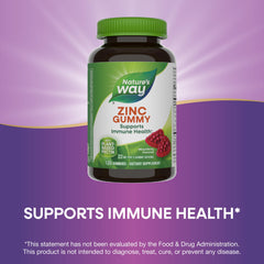 Nature's Way Zinc Gummies for kids 9+, one daily chew for immune support