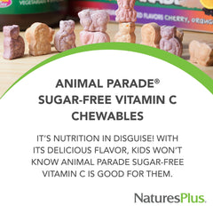 NaturesPlus Animal Parade orange-flavored chews with natural taste for kids