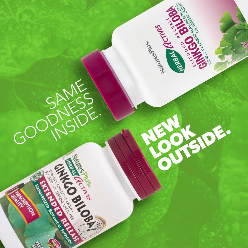 Close-up of extended-release coating on Ginkgo Biloba tablet for steady absorption
