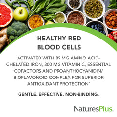 Close-up of NaturesPlus Hema-Plex Iron tablets for steady release