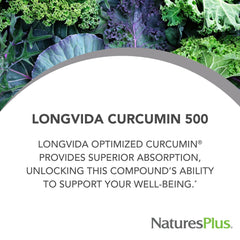 NaturesPlus PRO Longvida capsules close-up, designed for enhanced absorption and digestive-friendly use.