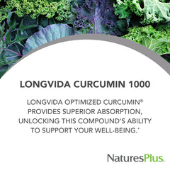 NaturesPlus PRO Longvida Curcumin label closeup highlighting clean ingredients.