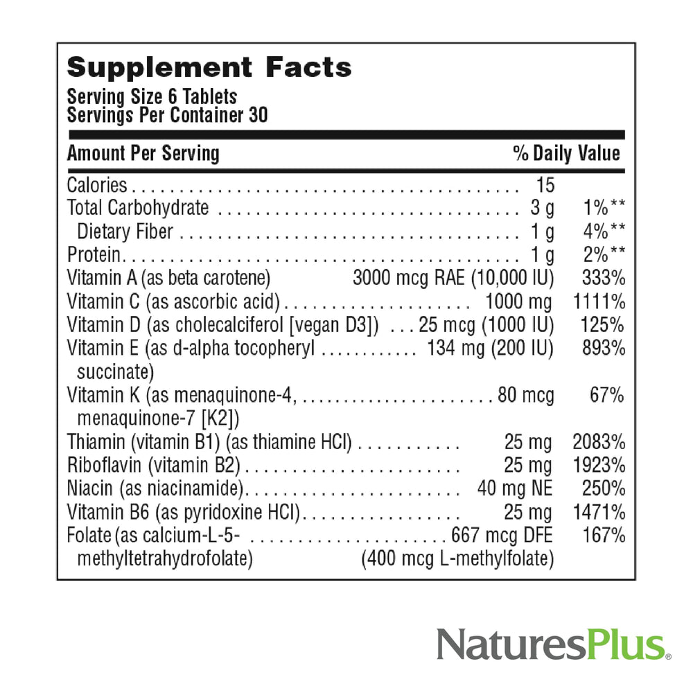 NaturesPlus Source of Life No Iron Mini-Tabs vegetarian form on display.