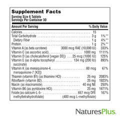 NaturesPlus Source of Life No Iron Mini-Tabs vegetarian form on display.
