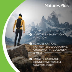 NaturesPlus Ultra Rx-Joint Liquid label close-up highlighting allergen-free formulation.