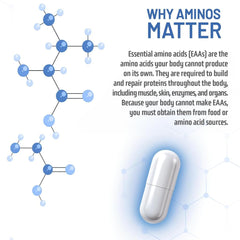 Vegan non-GMO gluten-free claim on NAUTILUS Muscle Code label.